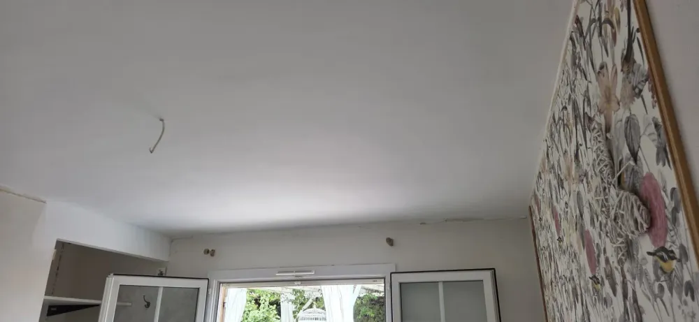 pose plafonds suspendus